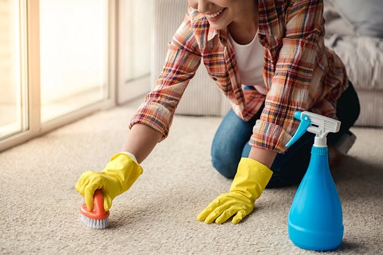 BiOHY Teppichshampoo (3x1l Flasche) | Teppichreiniger Ideal Zur Entfernung Von Hartnäckigen Flecken | SPEZIELL FÜR WASCHSAUGER ENTWICKELT - Image 7