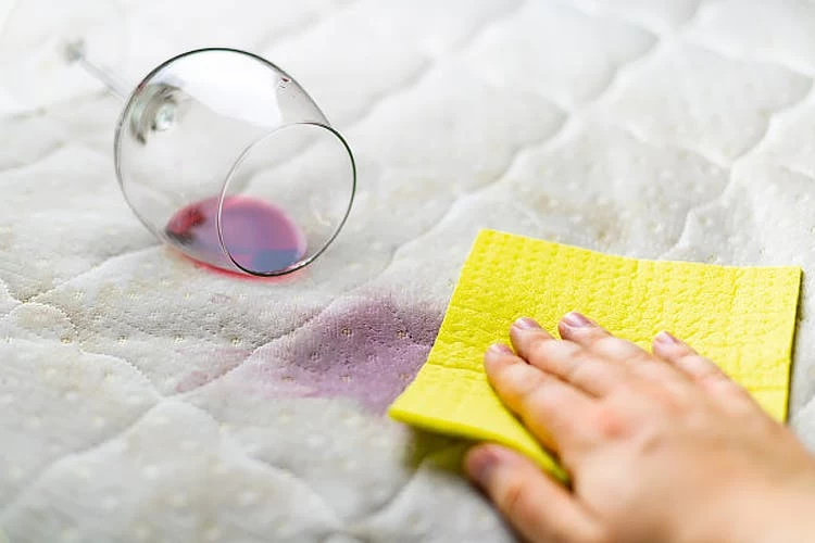 BiOHY Spezial Polsterreiniger (2x1l Flasche) | Ideal Für Autositze, Sofas, Matratzen Etc. | Ebenfalls Für Waschsauger Geeignet - Image 7